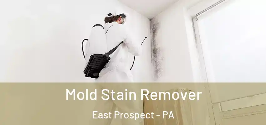 Mold Stain Remover East Prospect - PA