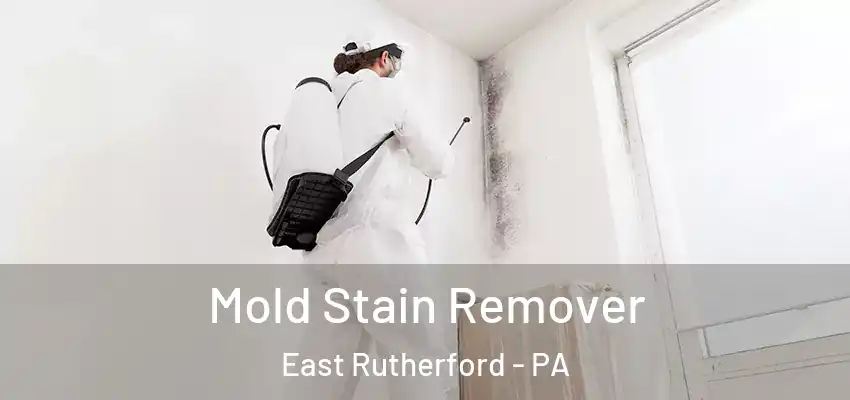 Mold Stain Remover East Rutherford - PA