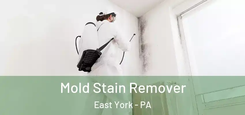  Mold Stain Remover East York - PA