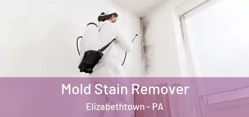 Mold Stain Remover Elizabethtown - PA