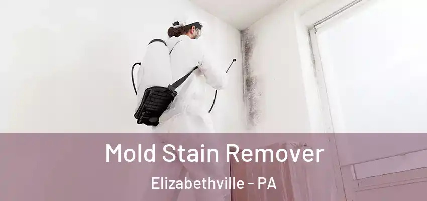  Mold Stain Remover Elizabethville - PA