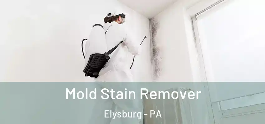 Mold Stain Remover Elysburg - PA