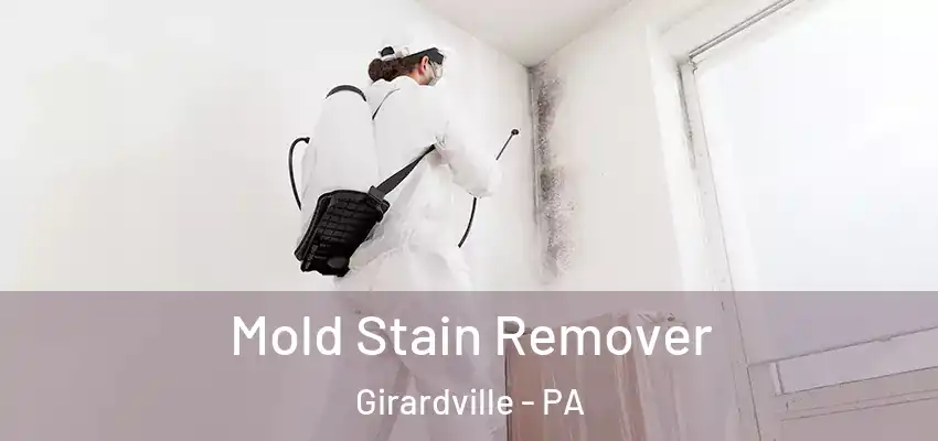  Mold Stain Remover Girardville - PA