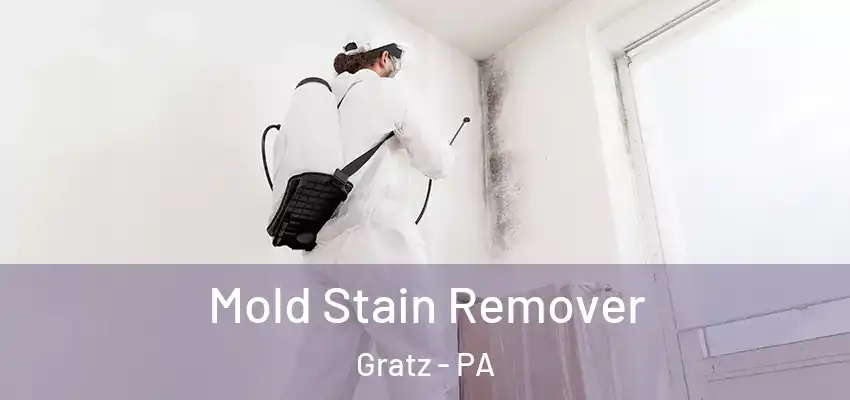 Mold Stain Remover Gratz - PA