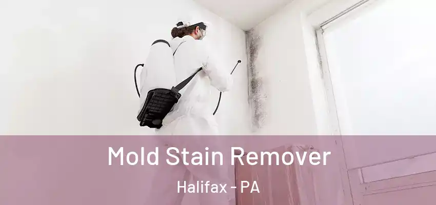  Mold Stain Remover Halifax - PA