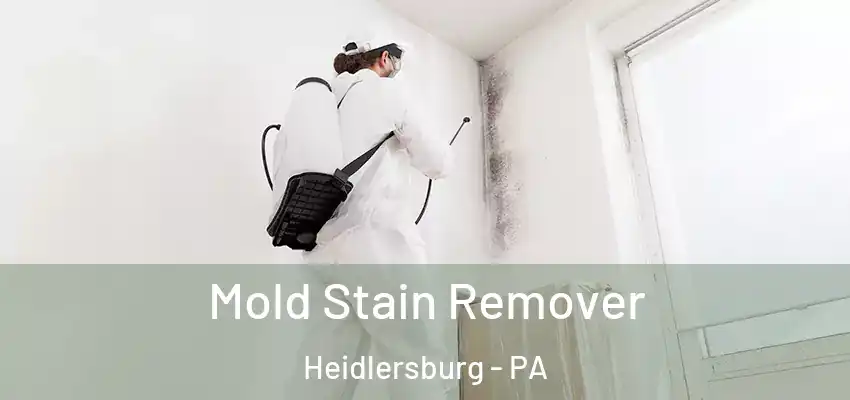 Mold Stain Remover Heidlersburg - PA