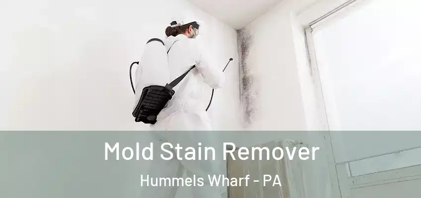 Mold Stain Remover Hummels Wharf - PA