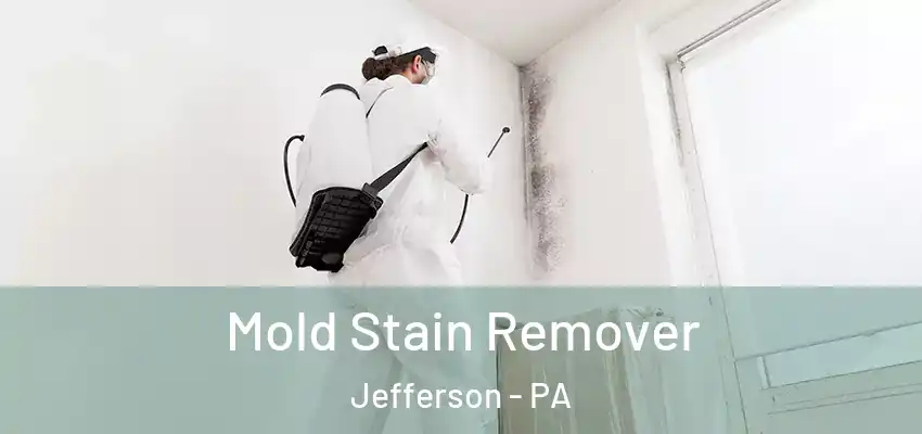 Mold Stain Remover Jefferson - PA