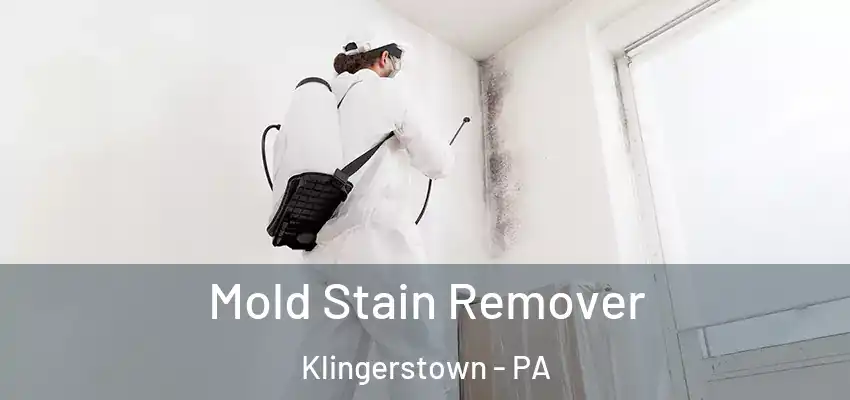  Mold Stain Remover Klingerstown - PA