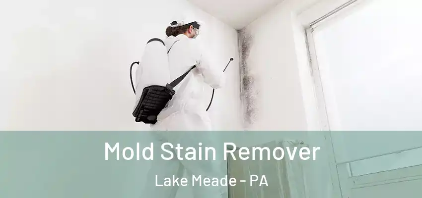 Mold Stain Remover Lake Meade - PA
