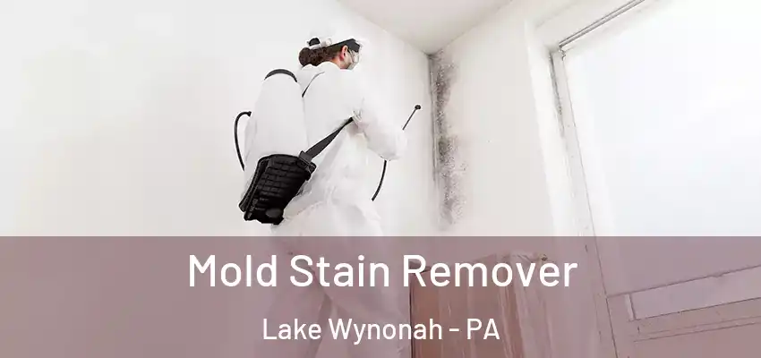 Mold Stain Remover Lake Wynonah - PA