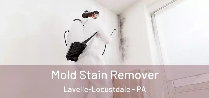 Mold Stain Remover Lavelle-Locustdale - PA