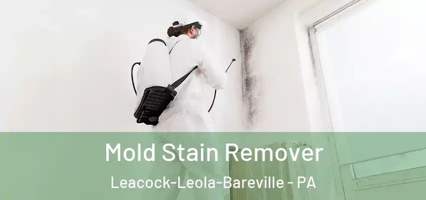  Mold Stain Remover Leacock-Leola-Bareville - PA