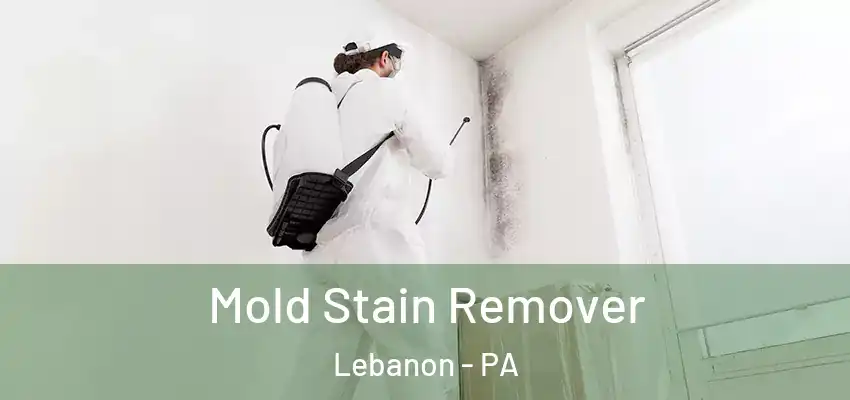 Mold Stain Remover Lebanon - PA