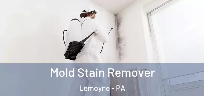  Mold Stain Remover Lemoyne - PA