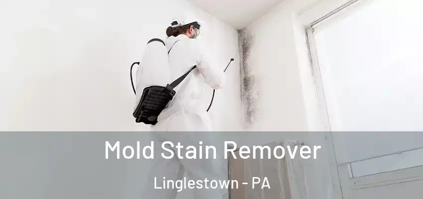  Mold Stain Remover Linglestown - PA