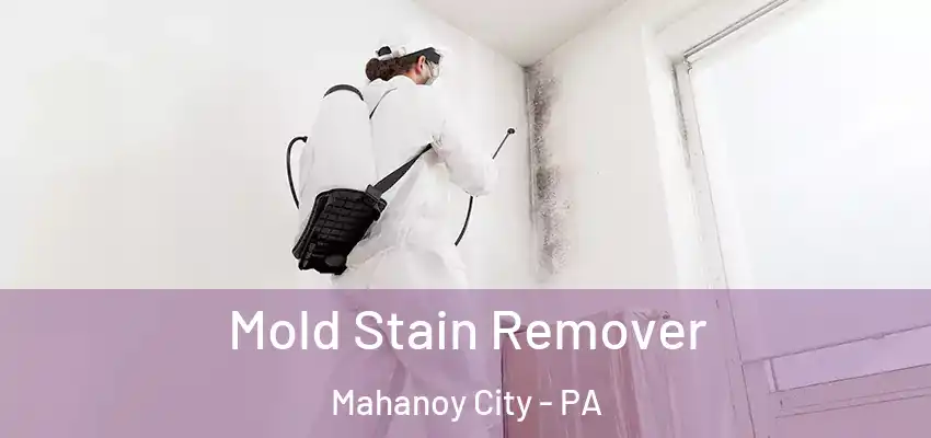 Mold Stain Remover Mahanoy City - PA