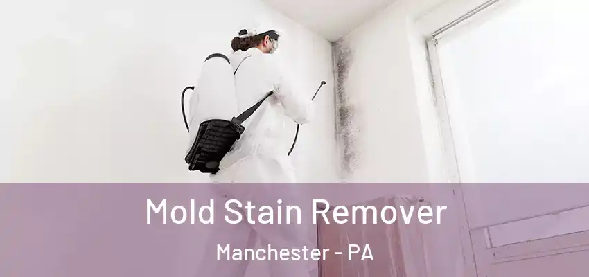 Mold Stain Remover Manchester - PA