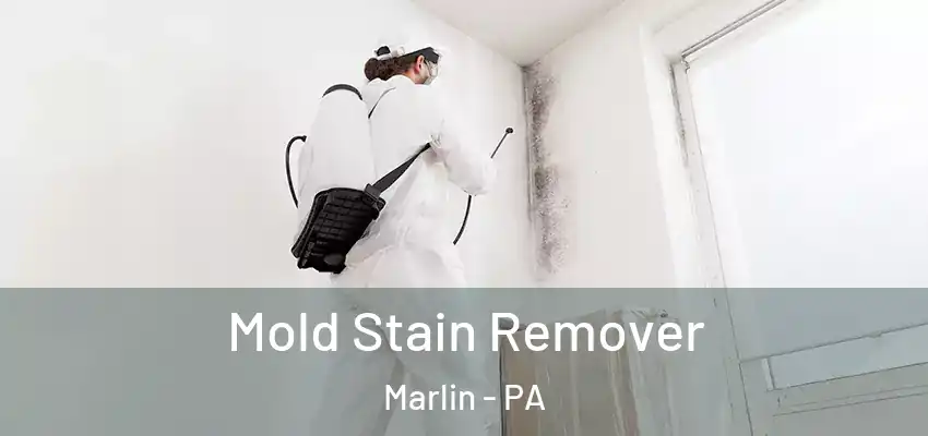 Mold Stain Remover Marlin - PA
