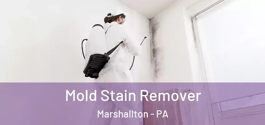 Mold Stain Remover Marshallton - PA