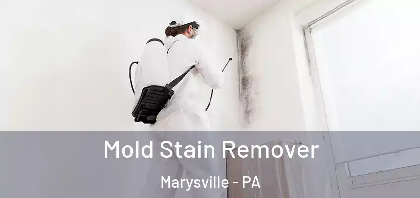 Mold Stain Remover Marysville - PA
