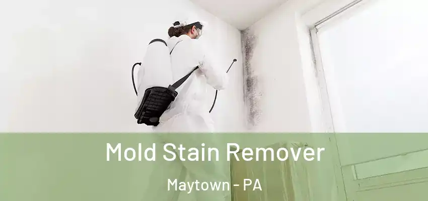 Mold Stain Remover Maytown - PA