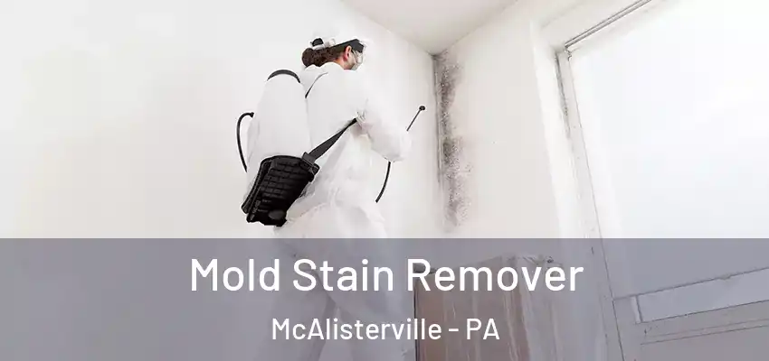  Mold Stain Remover McAlisterville - PA