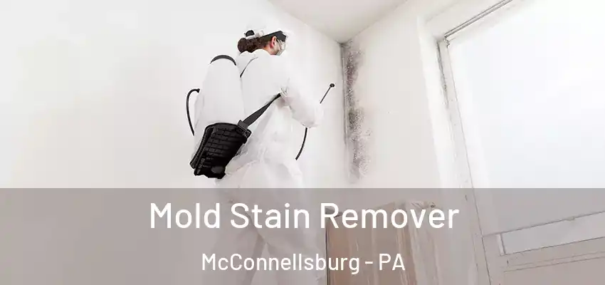  Mold Stain Remover McConnellsburg - PA