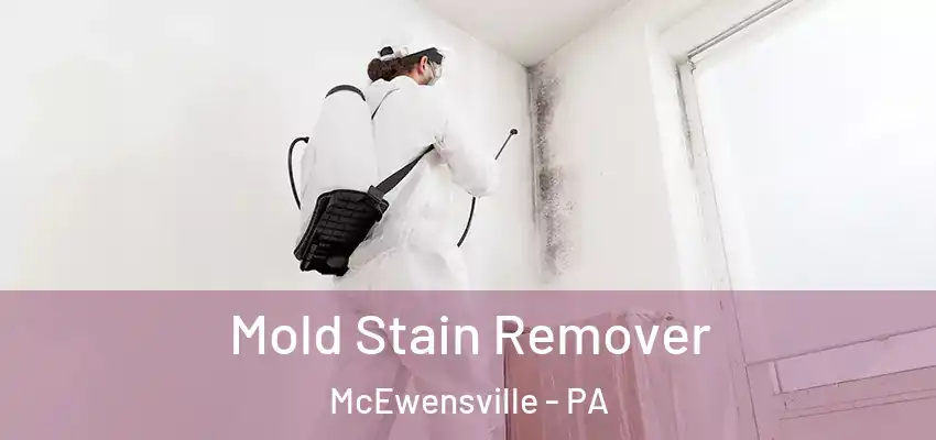 Mold Stain Remover McEwensville - PA