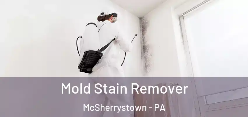  Mold Stain Remover McSherrystown - PA