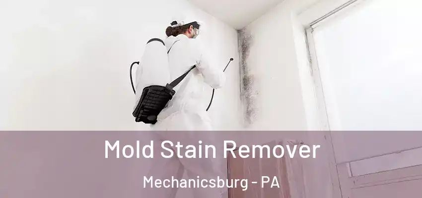  Mold Stain Remover Mechanicsburg - PA