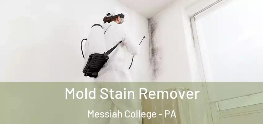 Mold Stain Remover Messiah College - PA