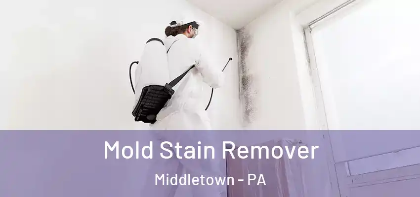  Mold Stain Remover Middletown - PA