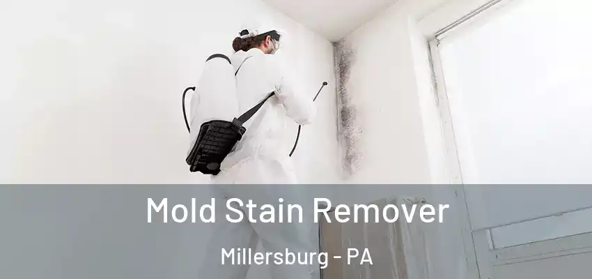 Mold Stain Remover Millersburg - PA