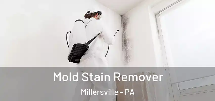  Mold Stain Remover Millersville - PA