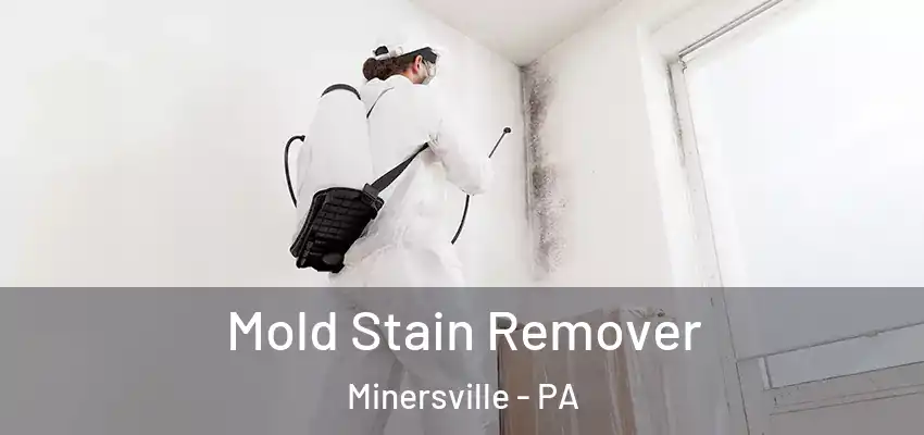  Mold Stain Remover Minersville - PA