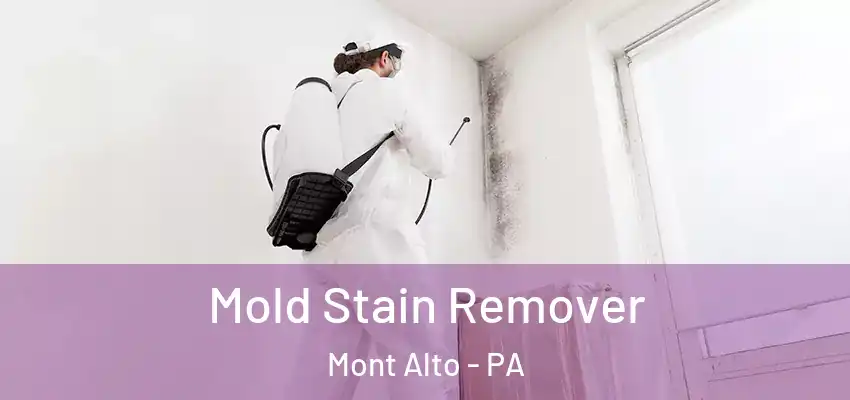 Mold Stain Remover Mont Alto - PA