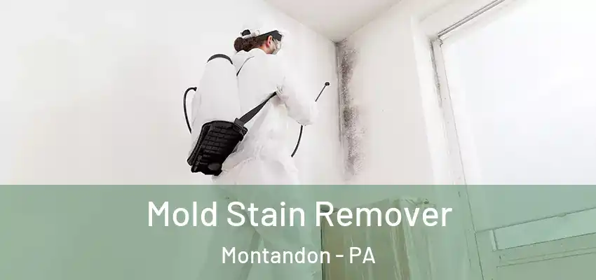 Mold Stain Remover Montandon - PA