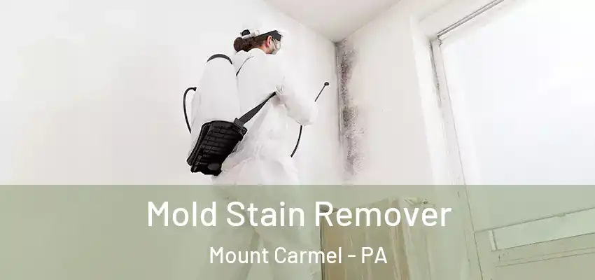 Mold Stain Remover Mount Carmel - PA