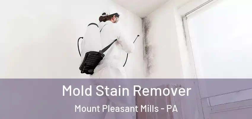 Mold Stain Remover Mount Pleasant Mills - PA