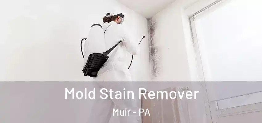  Mold Stain Remover Muir - PA