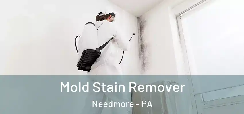  Mold Stain Remover Needmore - PA