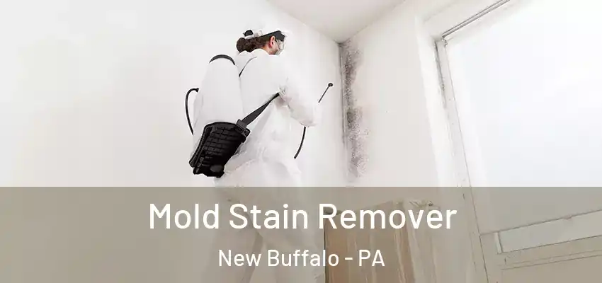  Mold Stain Remover New Buffalo - PA