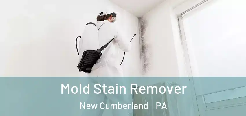  Mold Stain Remover New Cumberland - PA