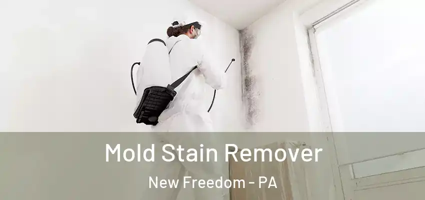 Mold Stain Remover New Freedom - PA