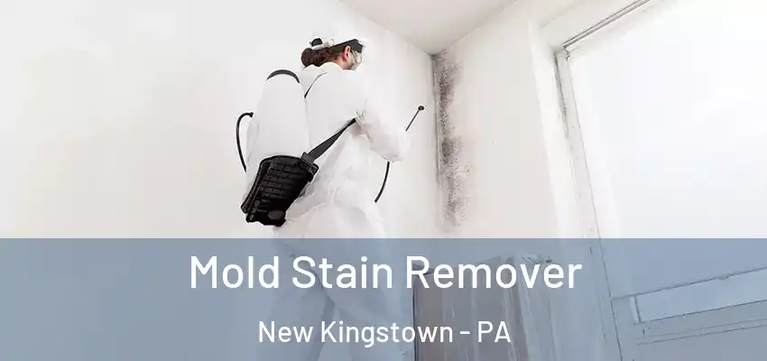 Mold Stain Remover New Kingstown - PA
