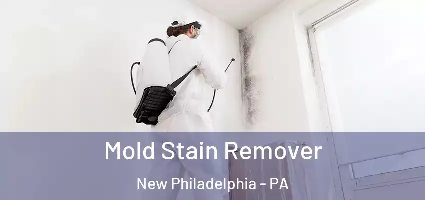 Mold Stain Remover New Philadelphia - PA