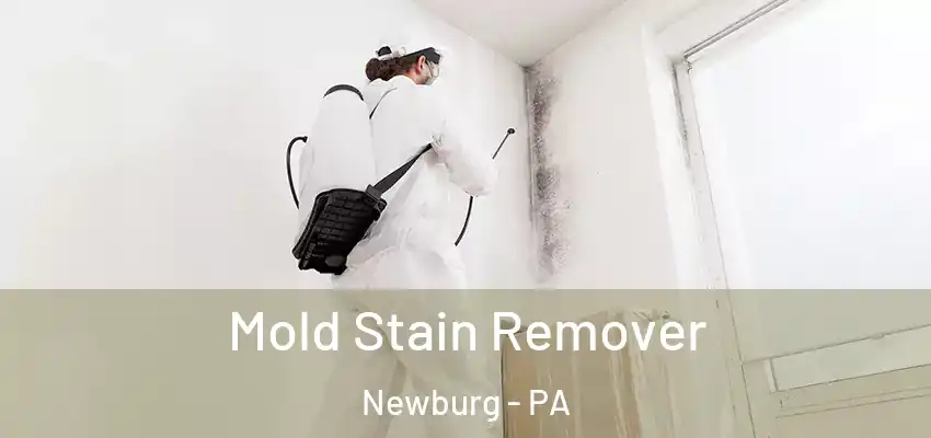  Mold Stain Remover Newburg - PA
