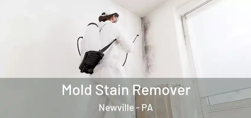  Mold Stain Remover Newville - PA