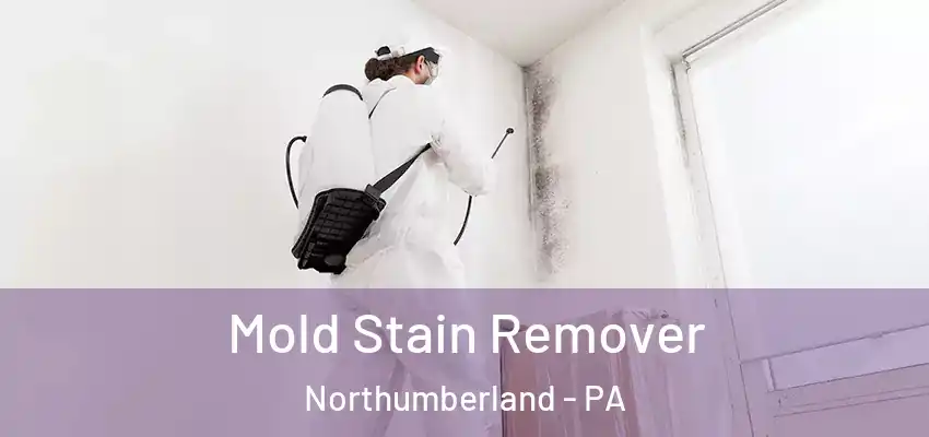  Mold Stain Remover Northumberland - PA